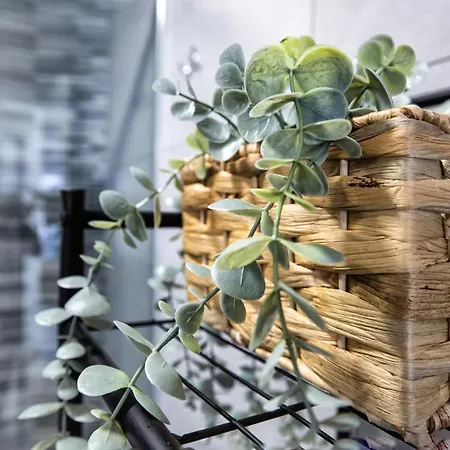 Costasol33 Aptos 1 Y 2 Apartment *