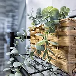 Costasol33 Aptos 1 Y 2 דירה *