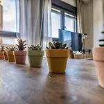 Costasol33 Aptos 1 Y 2 דירה