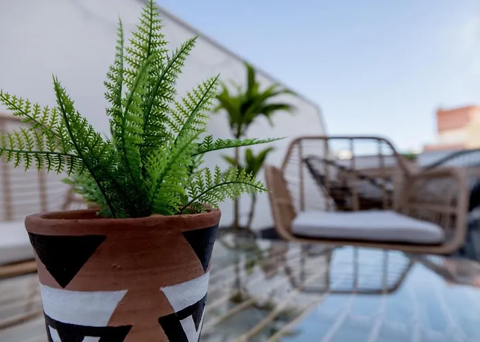 Costasol33 Aptos 1 Y 2